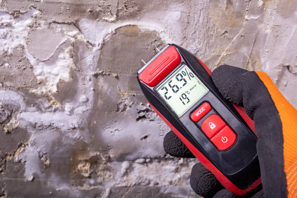 Best Mold Testing  in Meridian Village, CO