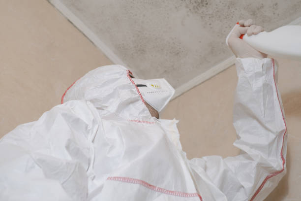 Best Water Damage Restoration  in Meridian Village, CO