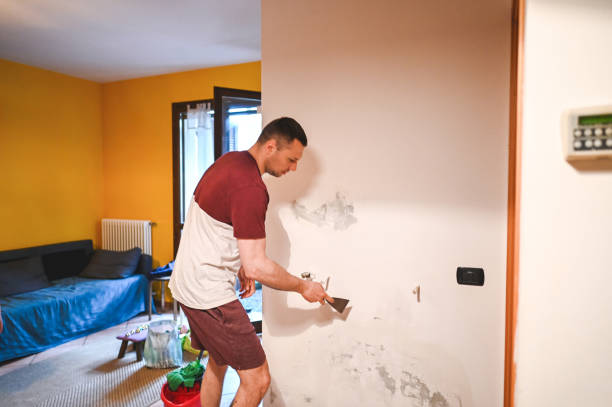 Best Mold Cleaning Services  in Meridian Village, CO